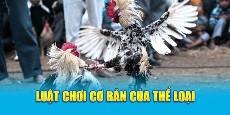 Luật chơi cơ bản của thể loại