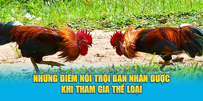 Những điểm nổi trội bạn nhận được khi tham gia thể loại