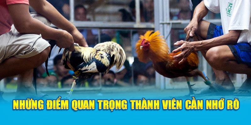 Những điểm quan trọng thành viên cần nhớ rõ