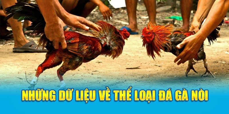 Những dữ liệu về thể loại đá gà nòi