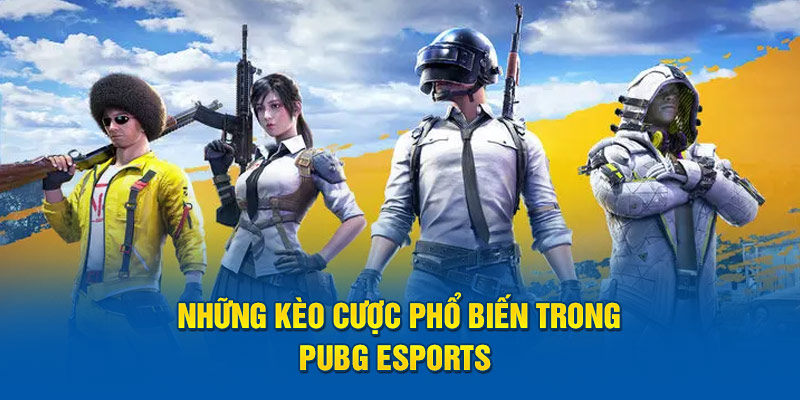 Những kèo cược phổ biến trong pubg esports